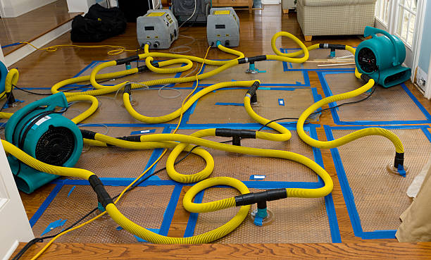 Professional Structural Drying And Dehumidification technician working in Converse, TX